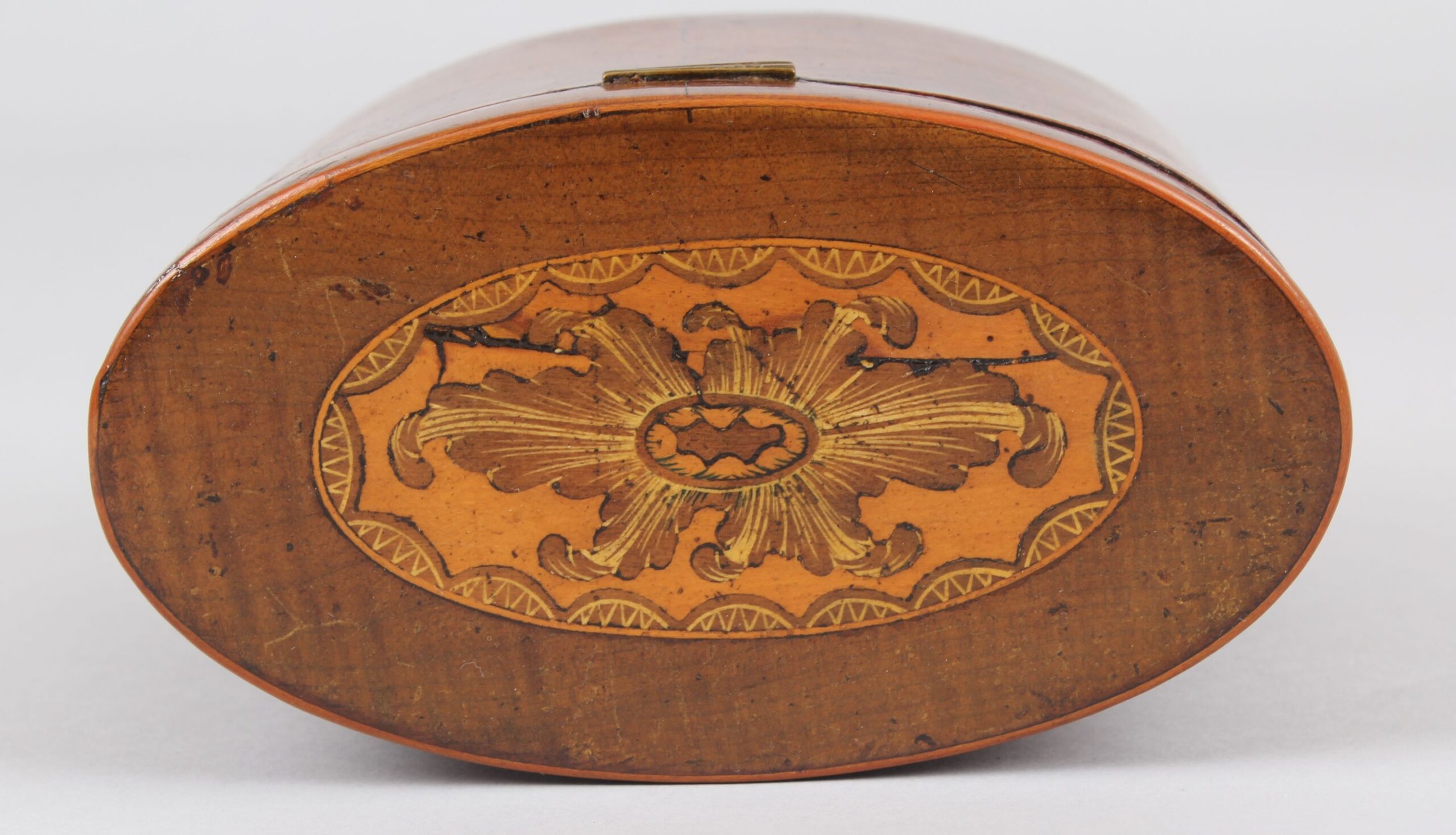 George III oval harewood tea caddy
