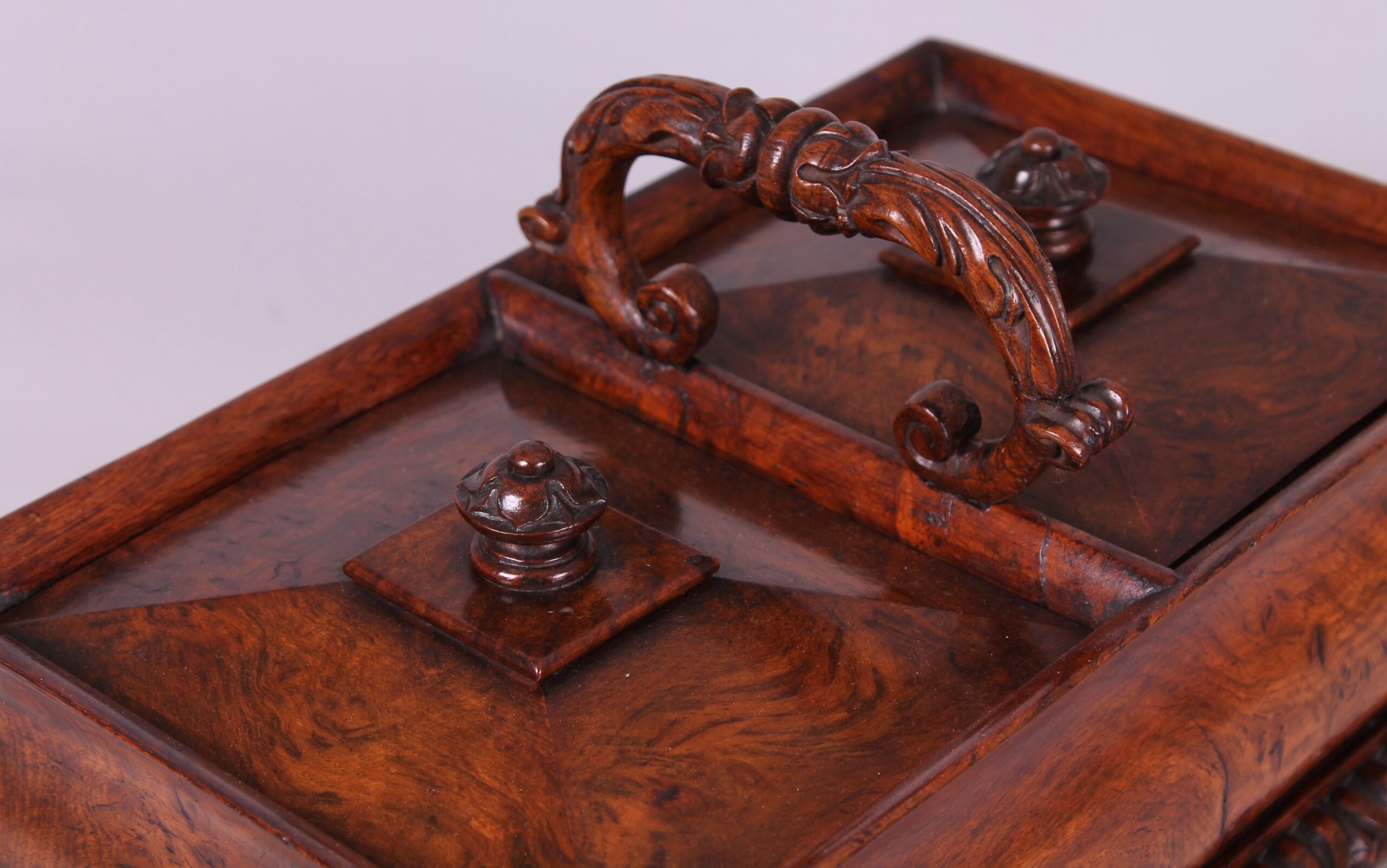 Fine and impressive George IV period burr oak double tea caddy