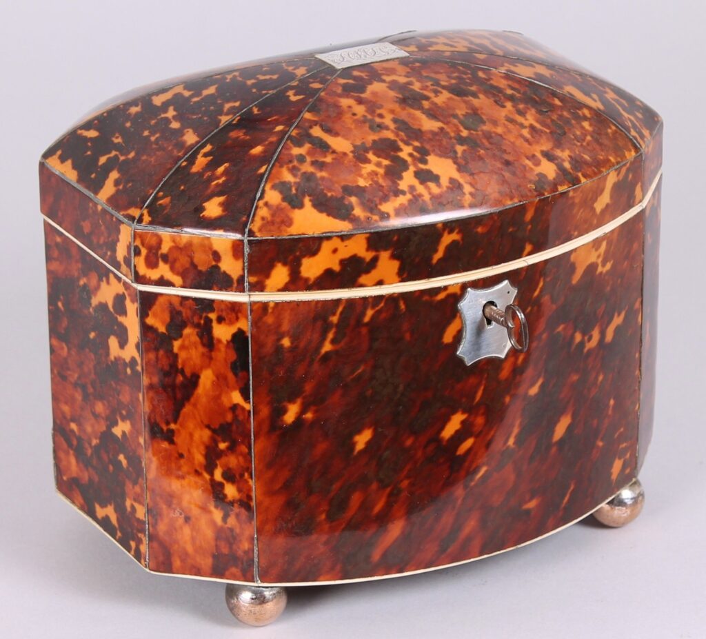 Fine Regency period tortoise-shell bow-fronted double tea caddy