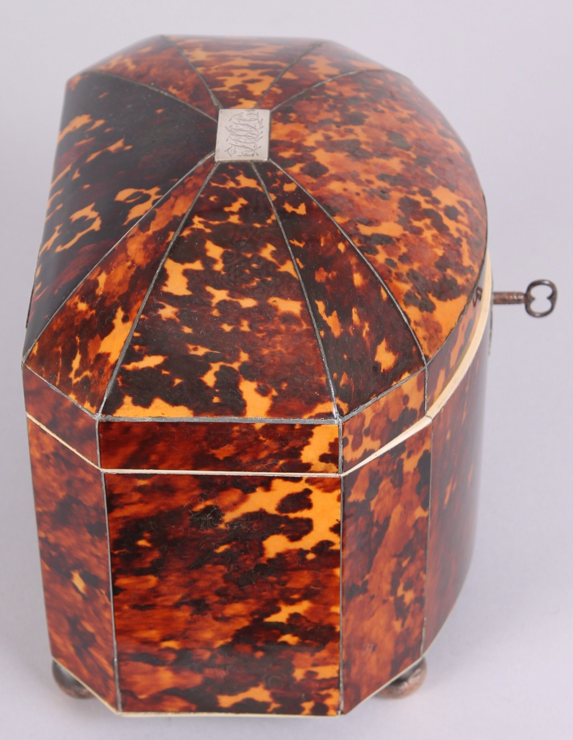 Fine Regency period tortoise-shell bow-fronted double tea caddy