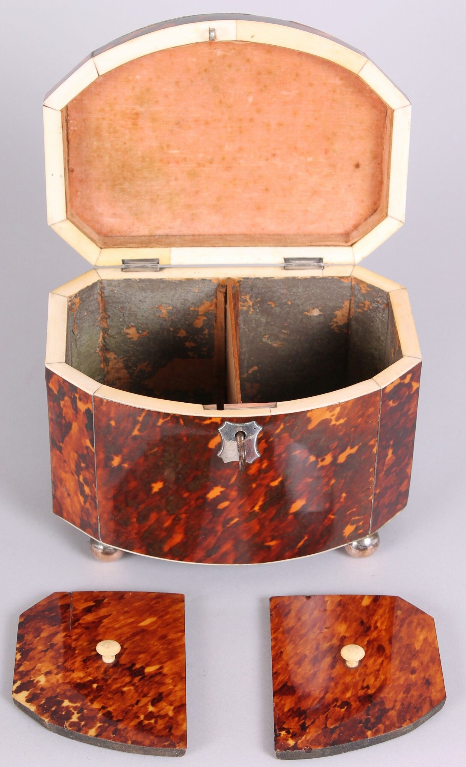 Fine Regency period tortoise-shell bow-fronted double tea caddy