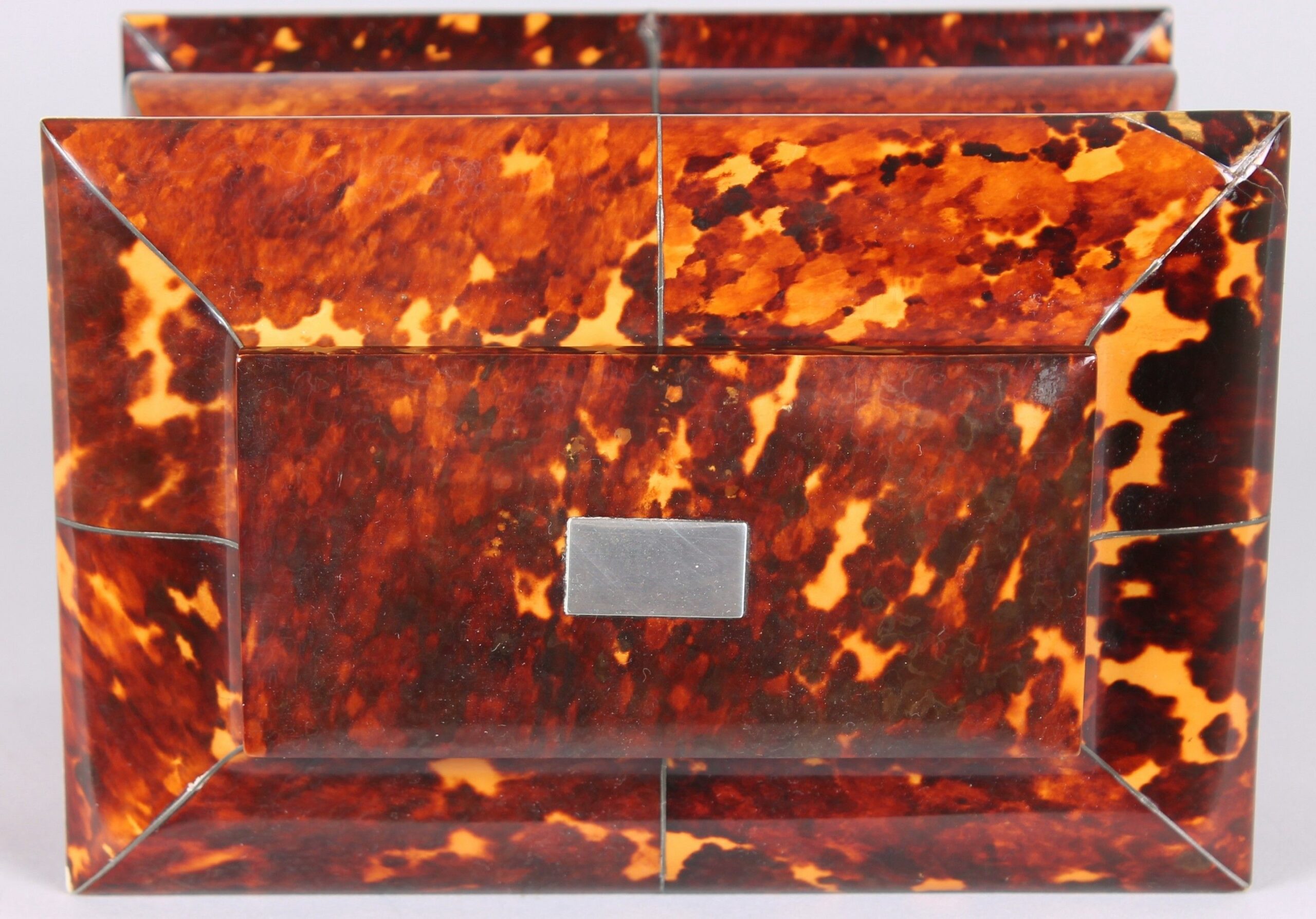 Fine William IV period tortoise-shell double tea caddy