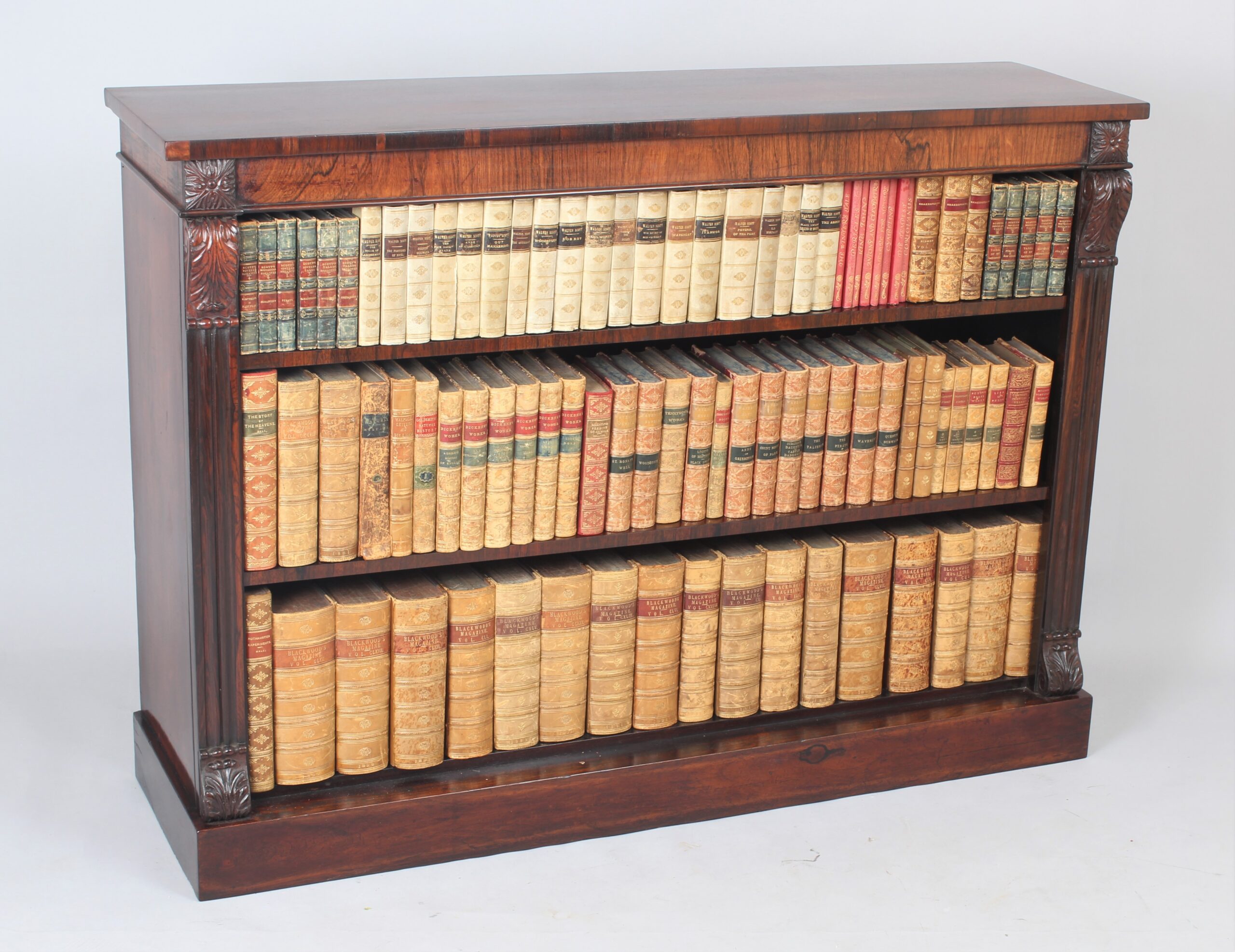 George IV period rosewood bookcase